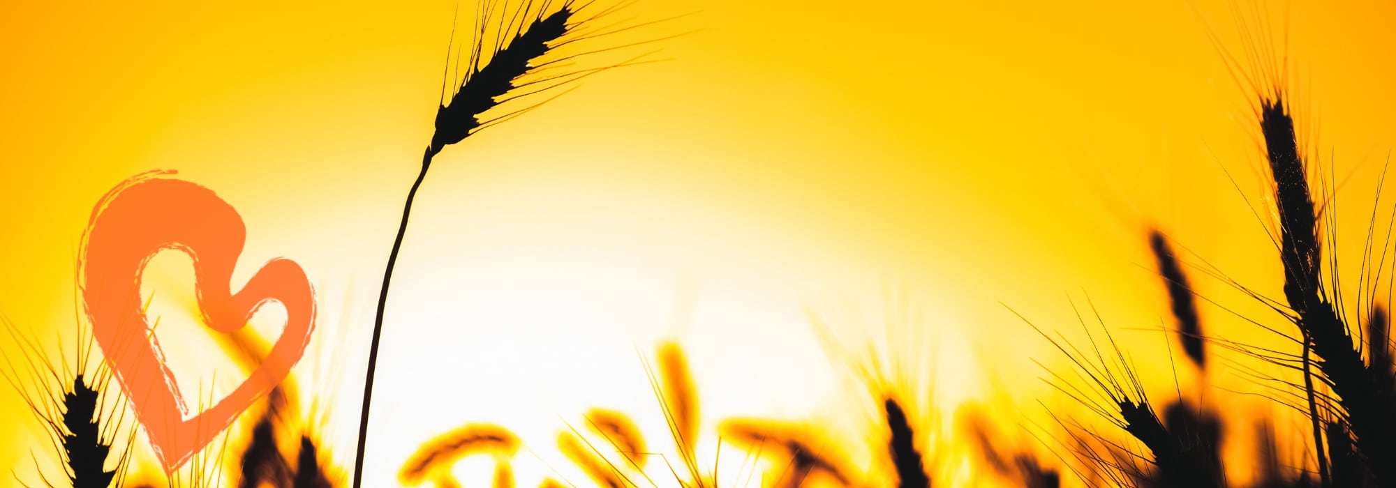 Avoin paikka: siistijä-vahtimestari